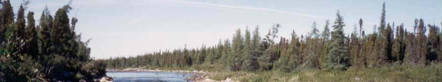 Northern Canadian Wilderness