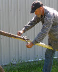 Debarking a lodgepole with draw knife
