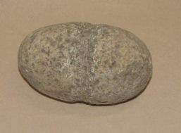 Neolitic Stone Maul